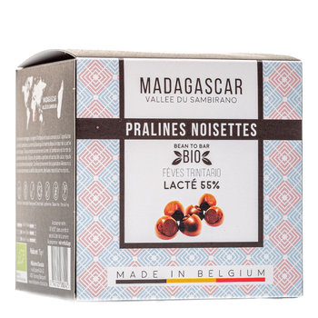 Pralines Noisettes - Madagascar Lacté 55%